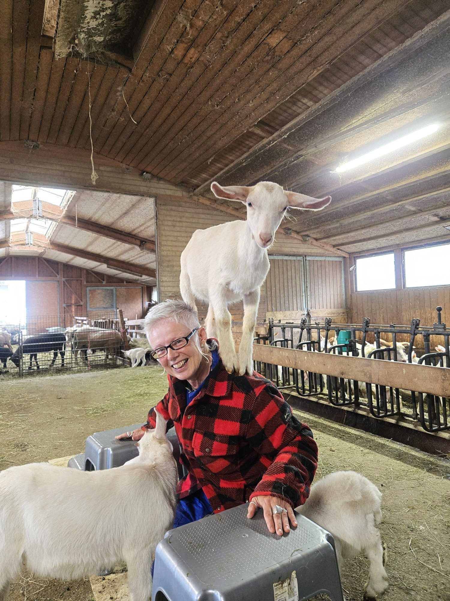 Gemeinsam mit einer Freundin hält Susi sieben Ziegen und ein Schaf. Mit ihren Ziegen studiert sie Tiernummern ein. FESSLER