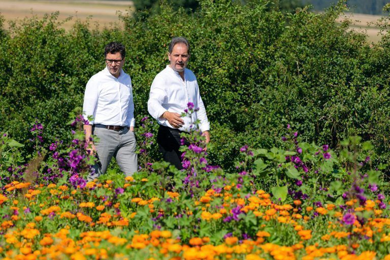 Dieser Manager führt ab 2028 Österreichs größten Handelskonzern