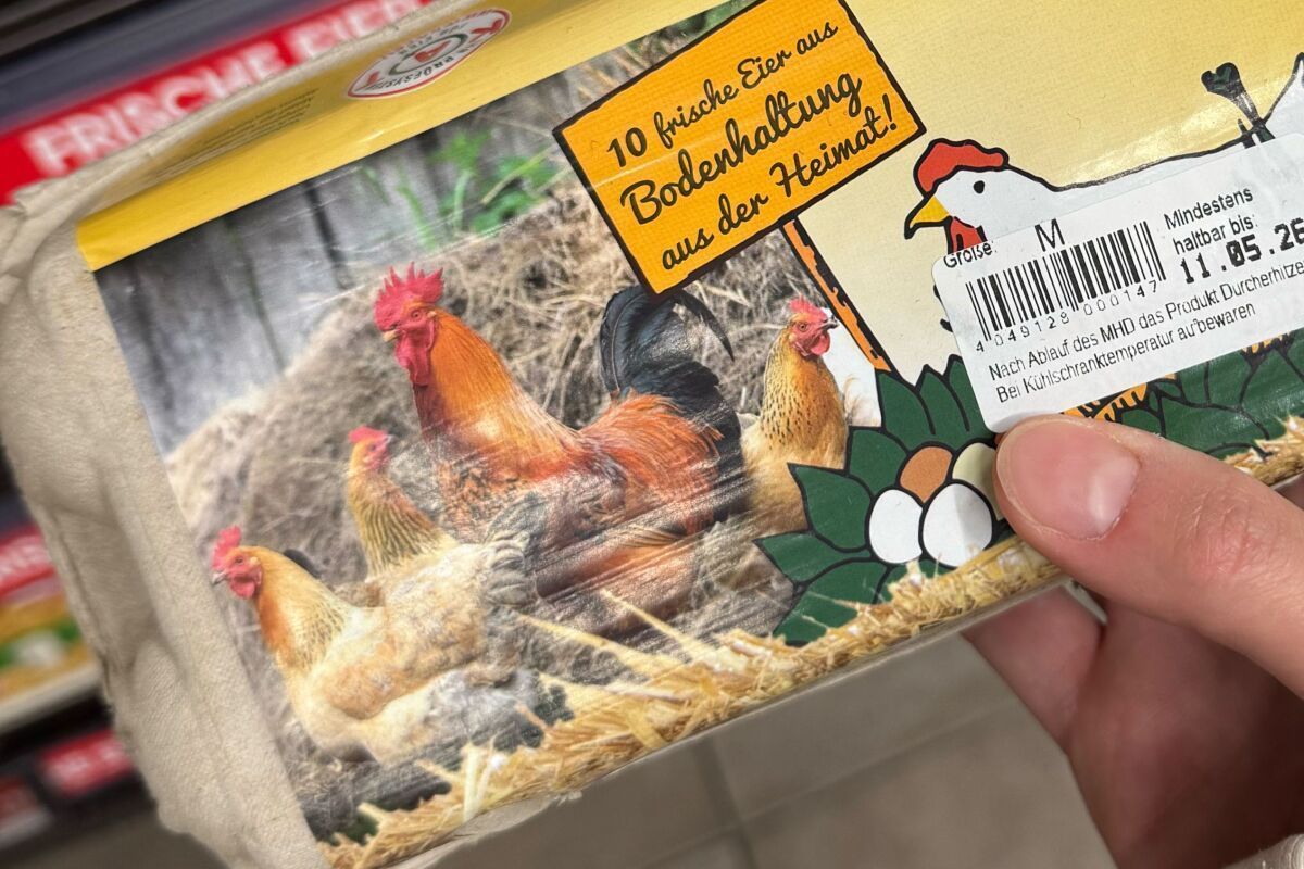 Deutsche Eier bei Spar: Verpackung wird geändert