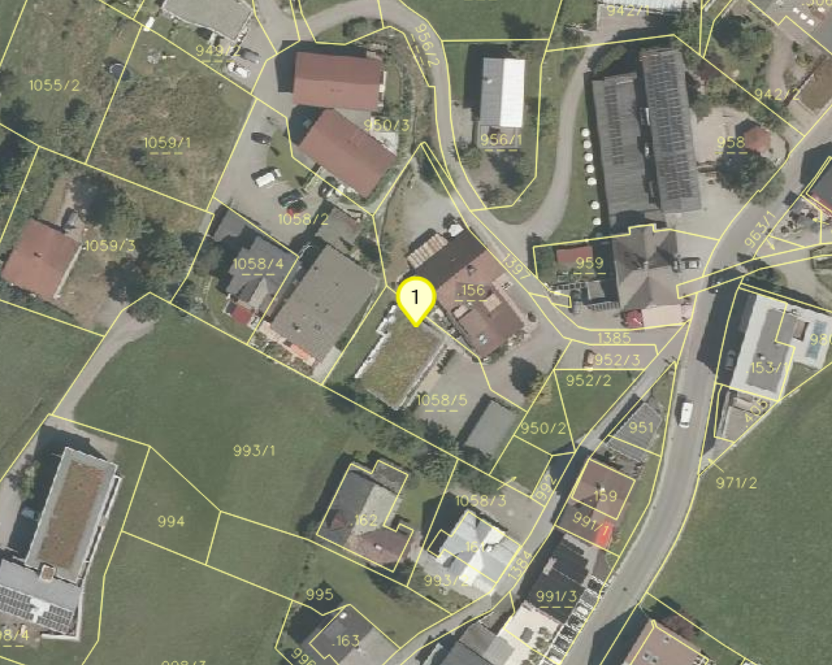 Land Vorarlberg: data.vorarlberg.gv.at, BEV (DKM)