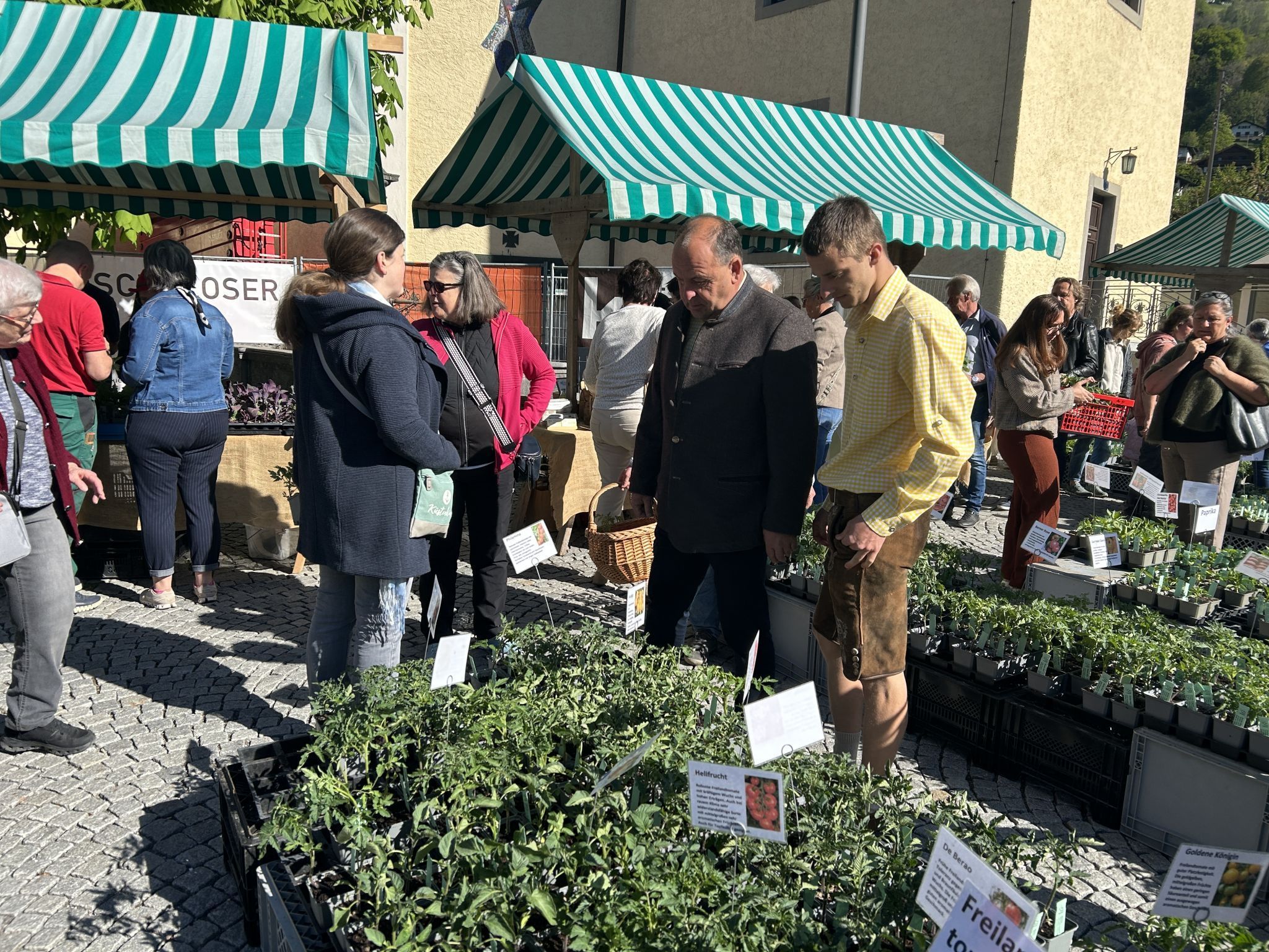 Impressionen vom Bio-Jungpflanzenmarkt (Bildergalerie)