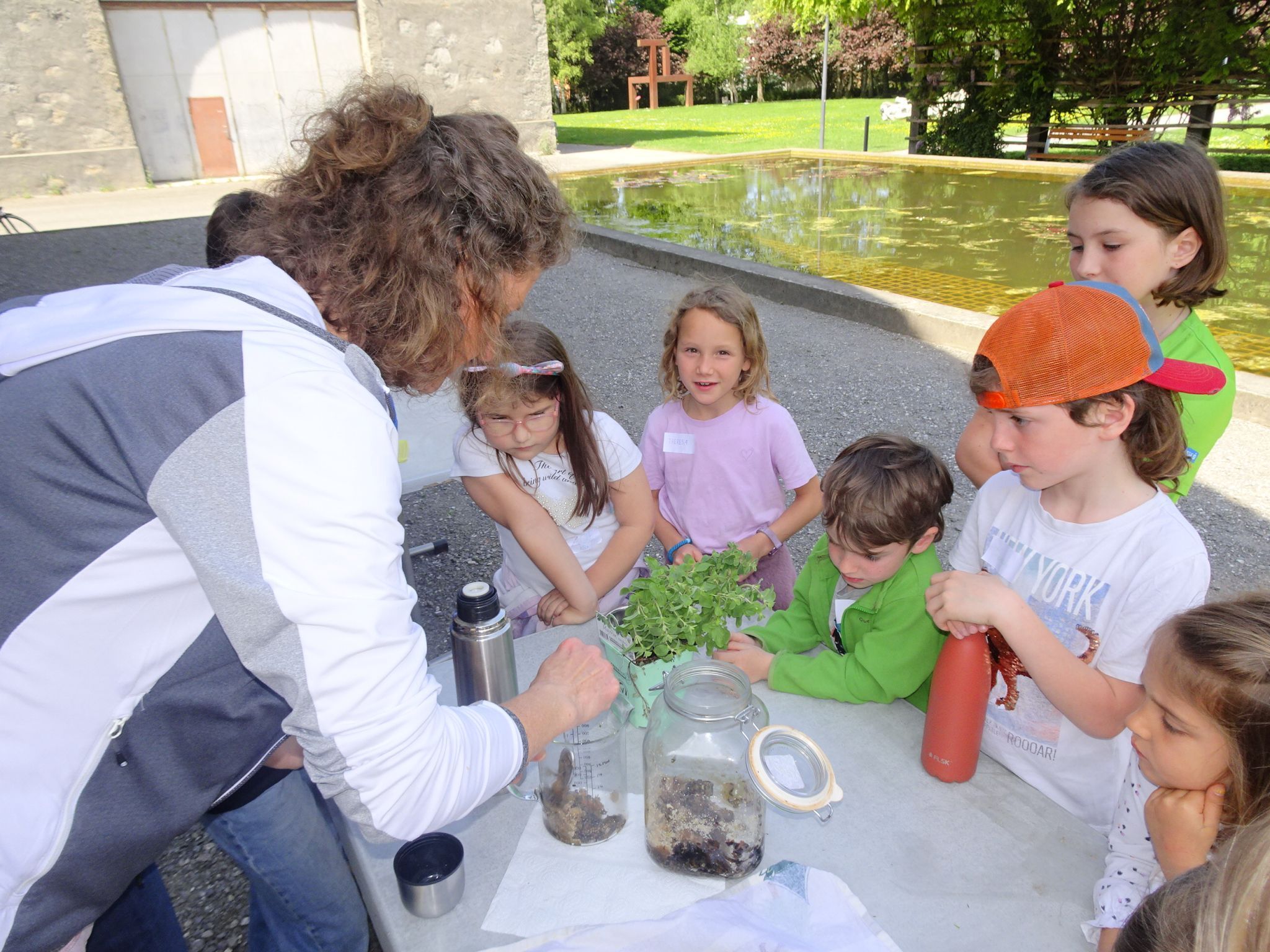 Kräuterpädagogin Bernadette Winder zeigte den Kindern, wie aus Spitzwegerich natürliche Hausmittel entstehen.