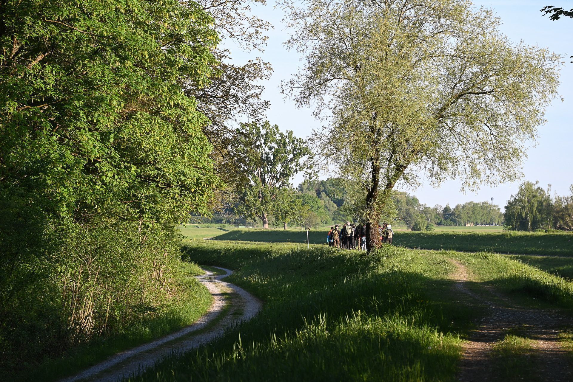 Der Weg ins Schweizer Ried zeichnet sich durch die Vielzahl an verschiedenen Vögel aus.