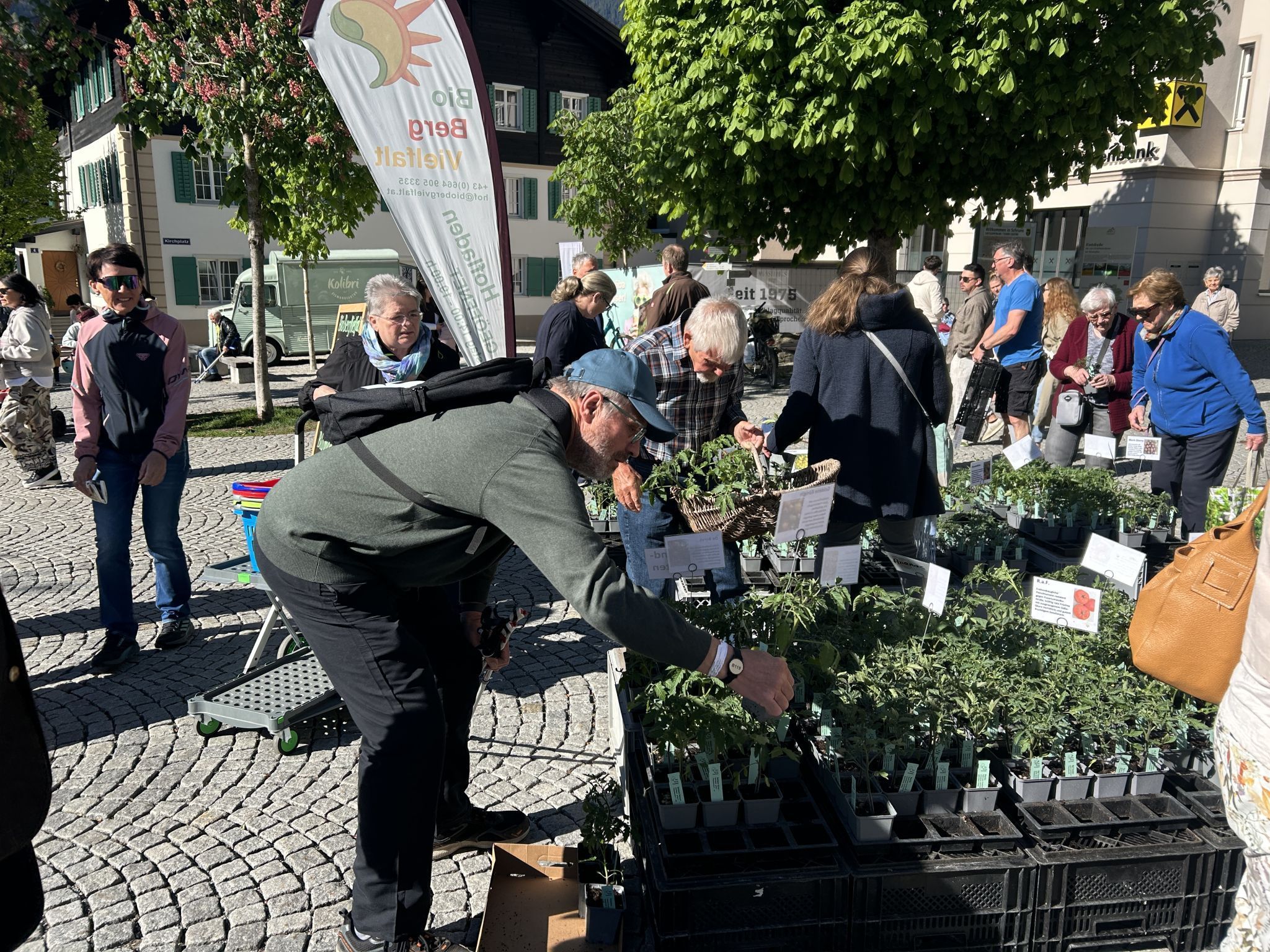 Impressionen vom Bio-Jungpflanzenmarkt (Bildergalerie)