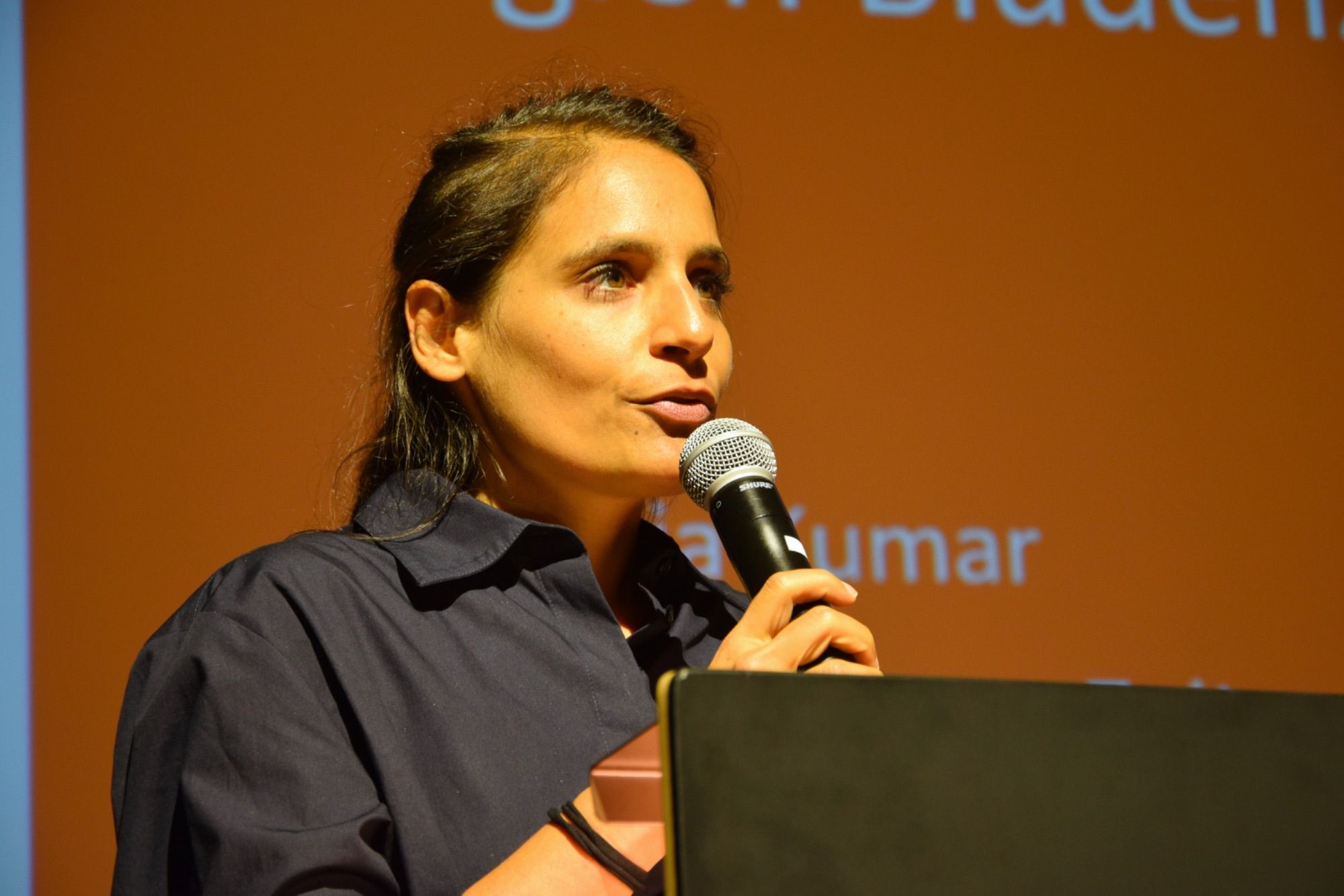 Victoria Kumar: „Für Vorarlberg sind bis dato mehr als 280 Erinnerungszeichen erfasst worden; darunter sind Denk- und Mahnmäler, Straßenbezeichnungen, Stolpersteine, künstlerische Interventionen, aber auch Gipfelkreuze und andere Formen.“
