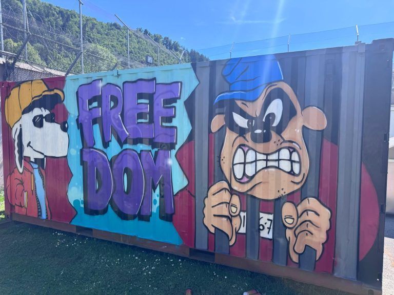 "Sitzen sonst 20 Stunden in der Zelle": Warum junge Häftlinge in Feldkirch zur Spraydose greifen