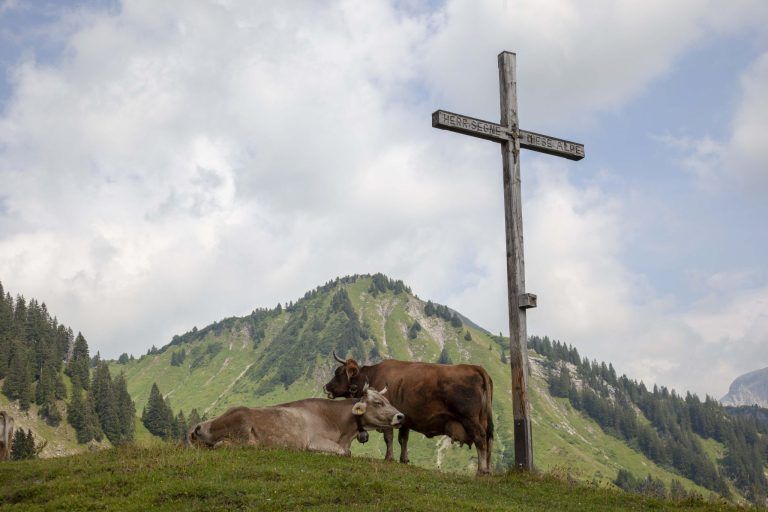 Trockenheit in Vorarlberg: Regen bringt kaum Entlastung