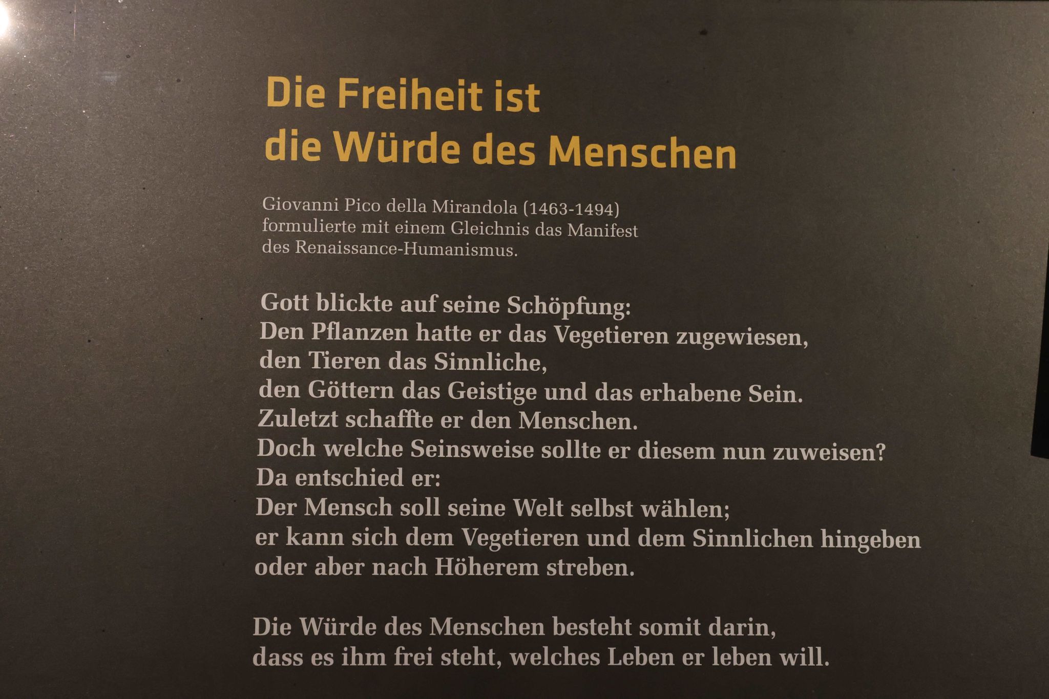 Eindrücke von der aktuellen Sodnerausstellung des Heimatpflege- und Museumsvereins Feldkirch. (Bildergalerie)