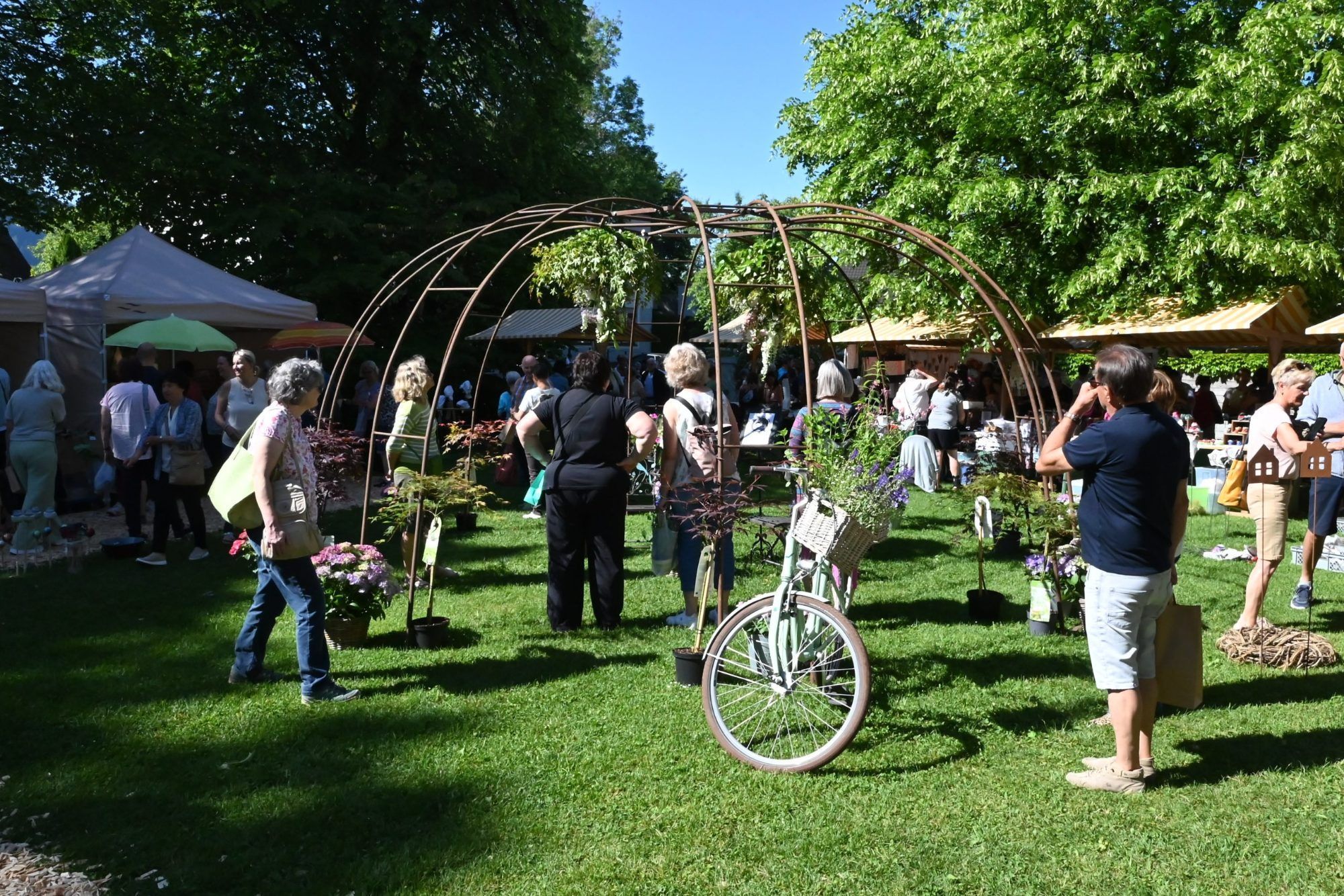Blühende Vielfalt beim Gartenmarkt