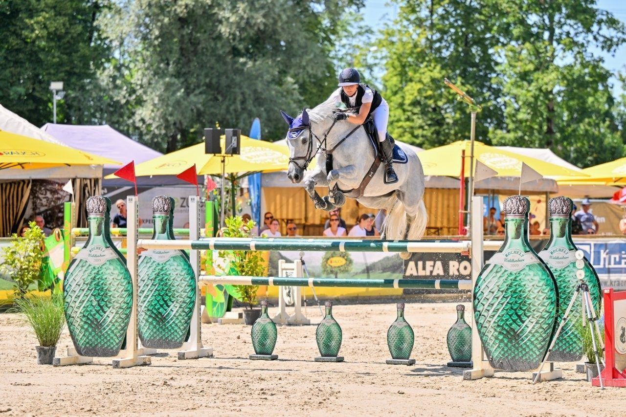 Toller Springreitsport wird geboten. 