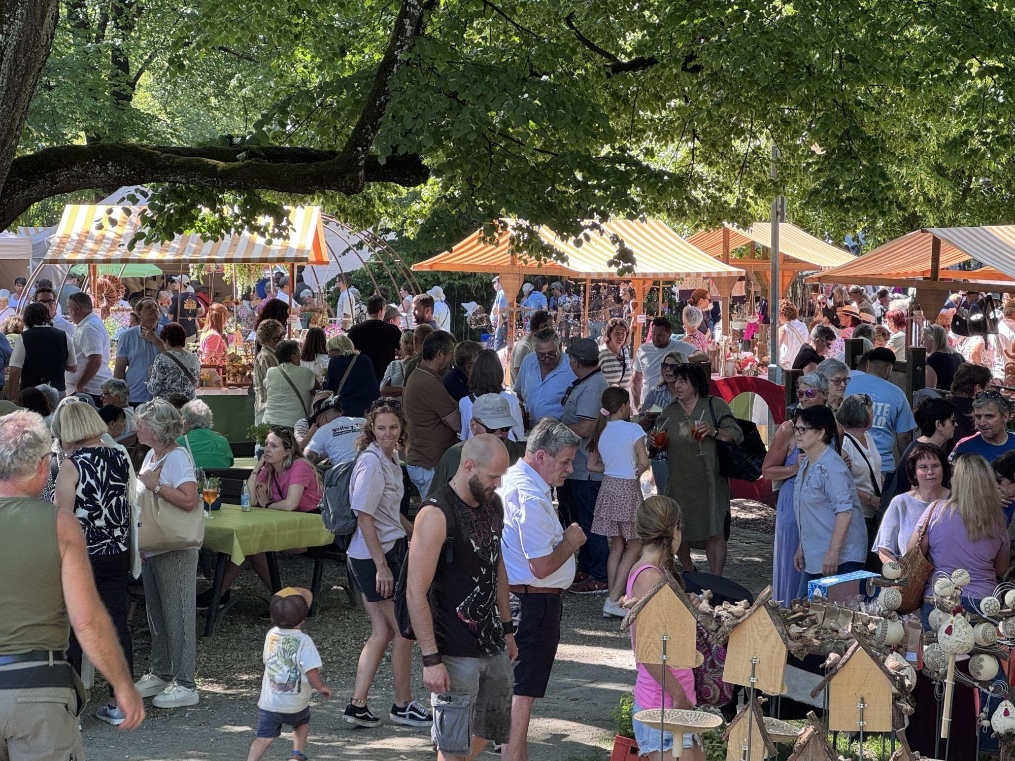 Blühende Vielfalt beim Gartenmarkt