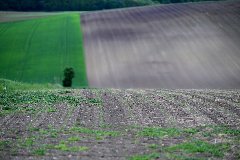 Sparpaket trifft klimaschädliche Förderungen
