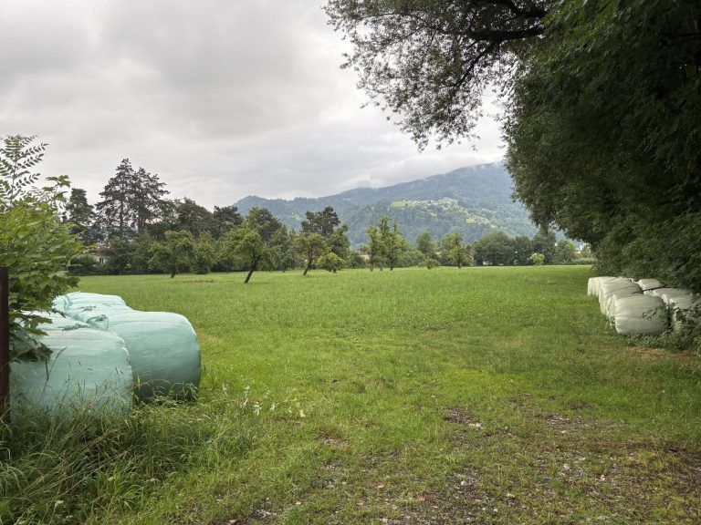Bald soll Dornbirn entscheiden, ob hier Kinder und Senioren ihren Alltag verbringen sollen