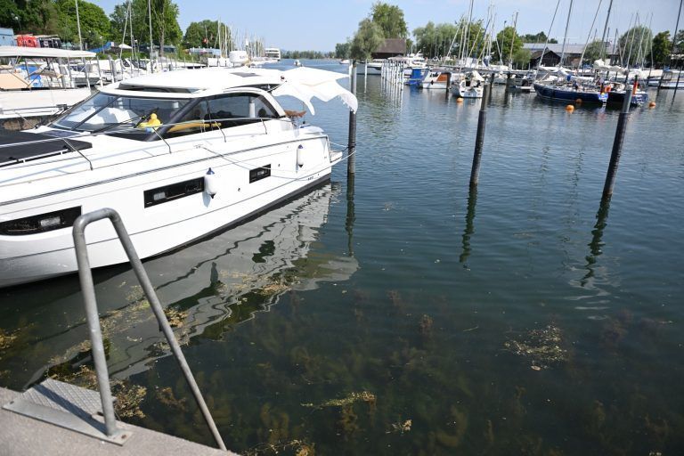 An diesen heimischen Seehäfen wird’s für Boote langsam zu trocken