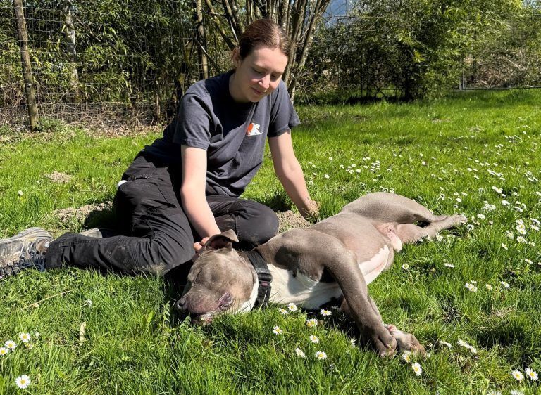 Duman ist ein charmanter Knallkopf mit Herz