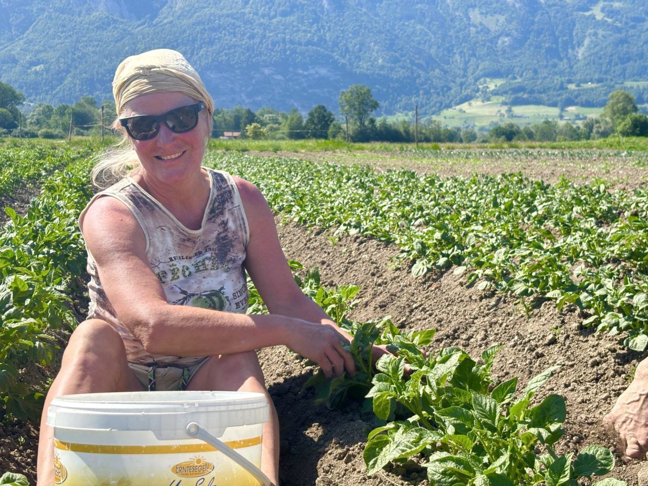 Josef Stark sucht Hobby-Landwirte in Feldkirch