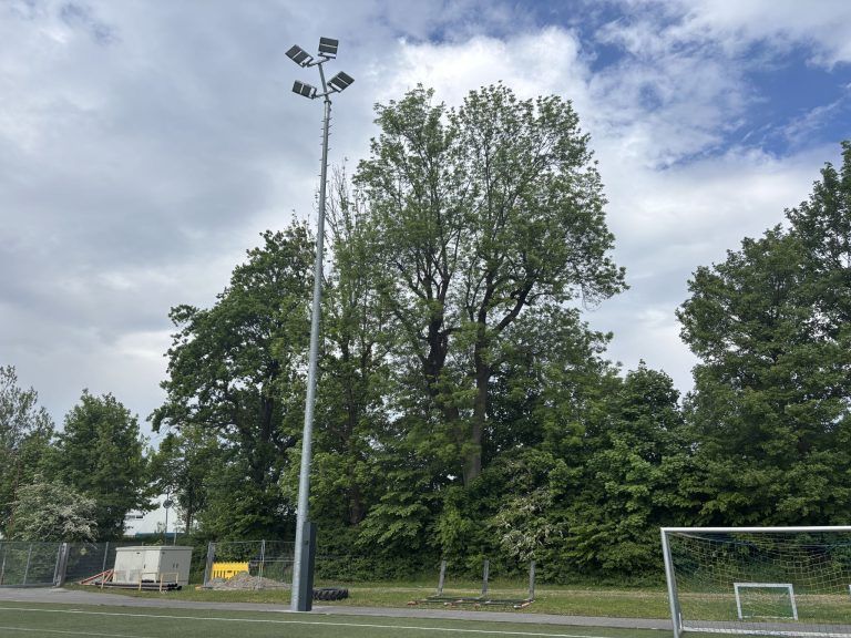 Hohenems leidet unter Vandalismus – Stadt bietet Belohnung für Hinweise