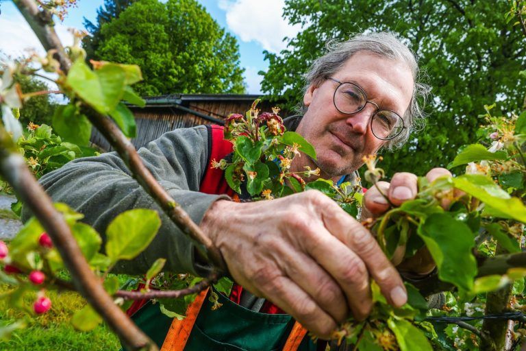 Willkommener Regen im Anmarsch, doch vor etwas haben Landwirte Angst