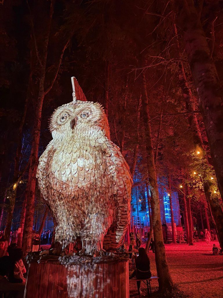 Eine etwas andere Reisegruppe im etwas anderen Wald: Ein Tag auf dem Ikarus