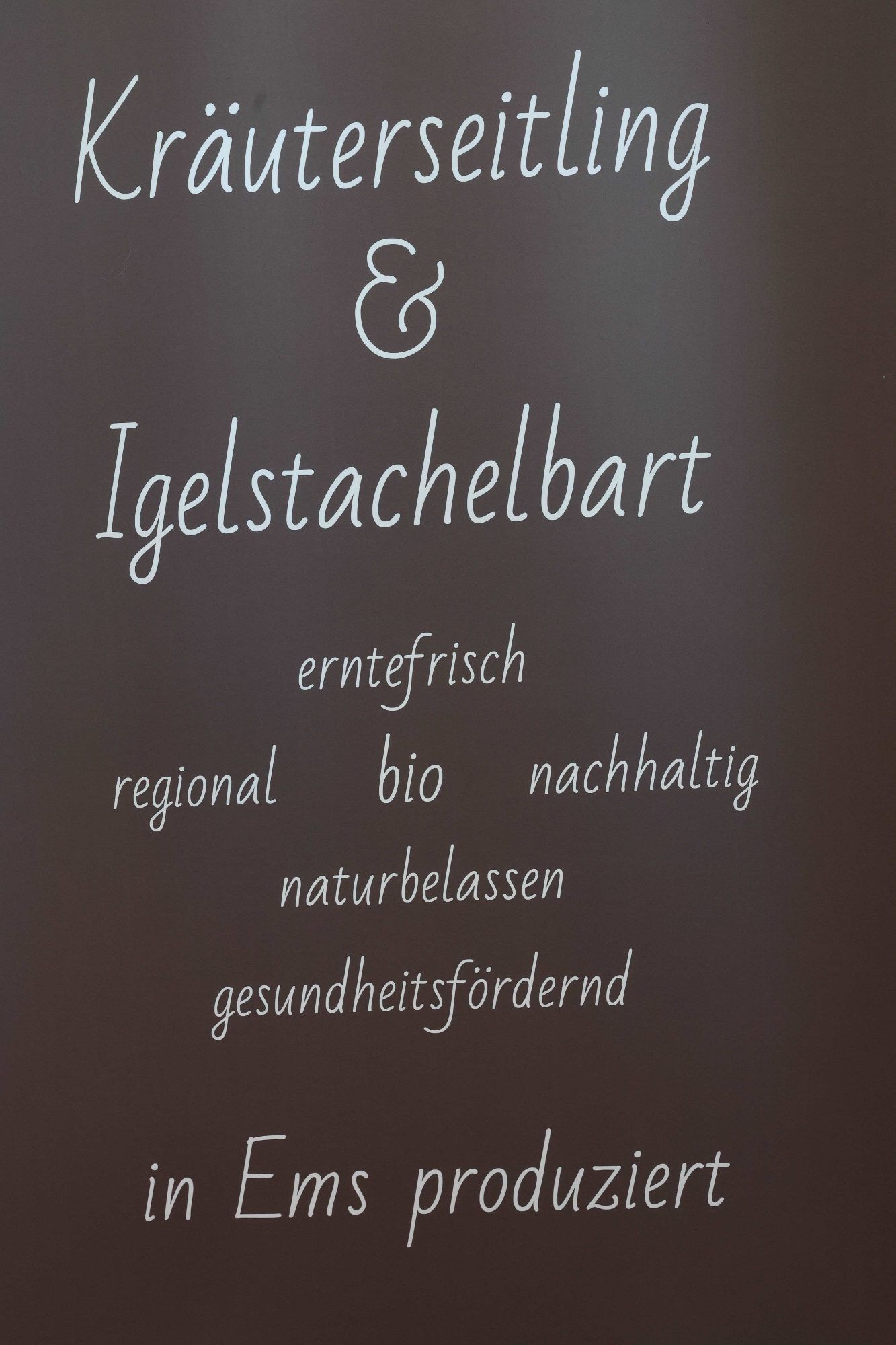 Zweites "Food Campus" in Götzis: Bildungsfestival für nachhaltigen Genuss und regionale Produkte