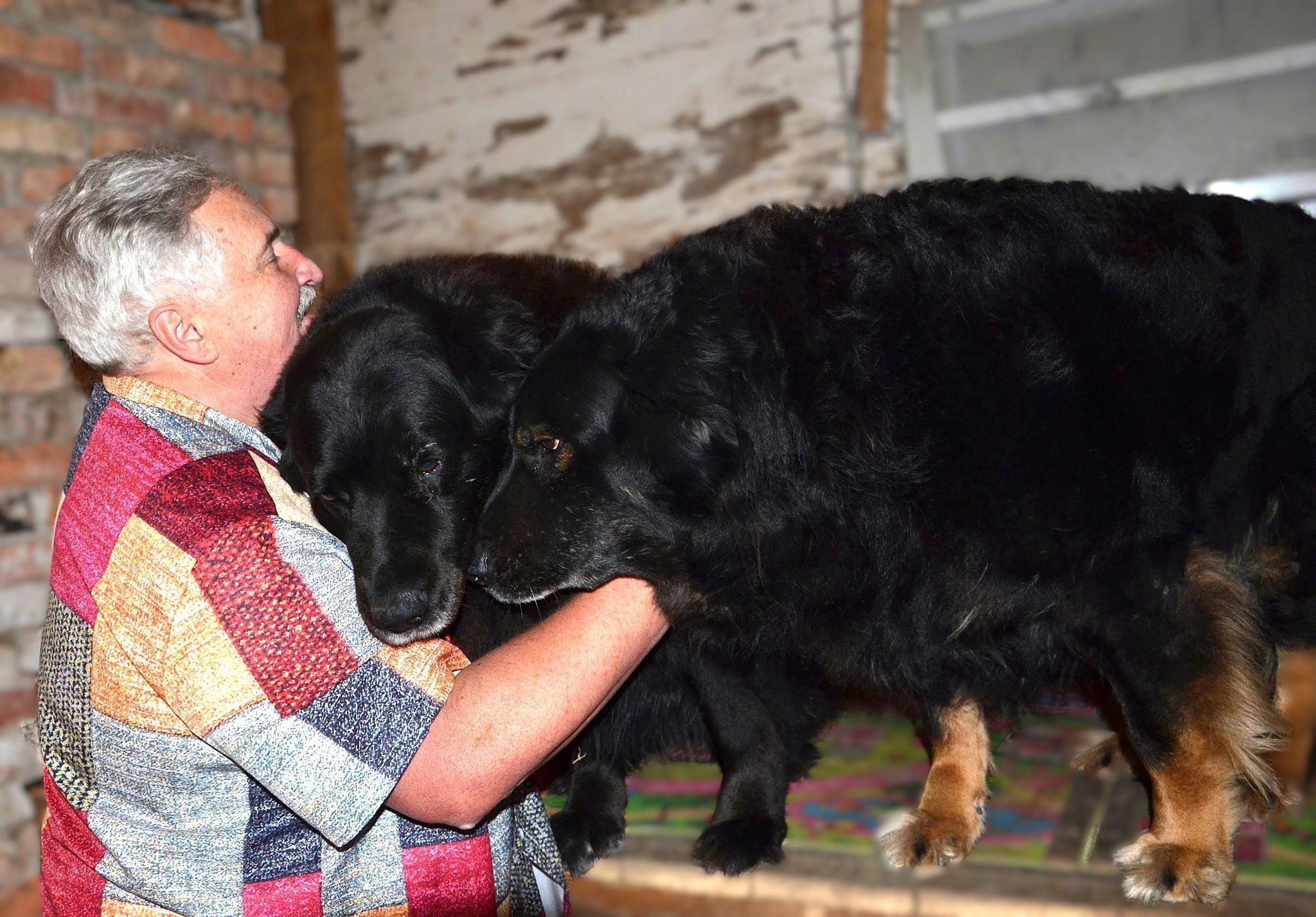 Rudi und die Hunde Jimmy und Luis verbindet eine tiefe Freundschaft. HRJ