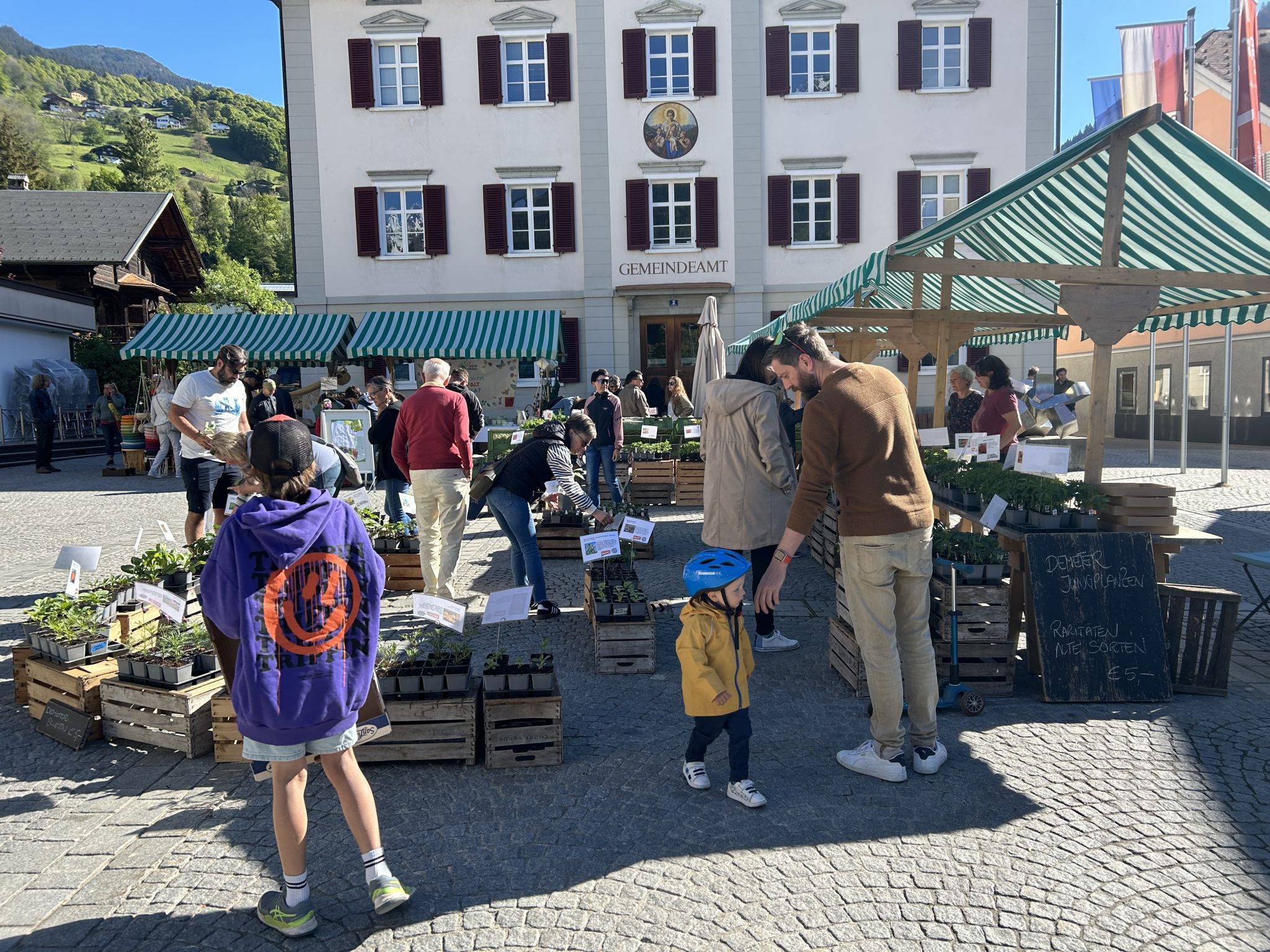 Impressionen vom Bio-Jungpflanzenmarkt (Bildergalerie)
