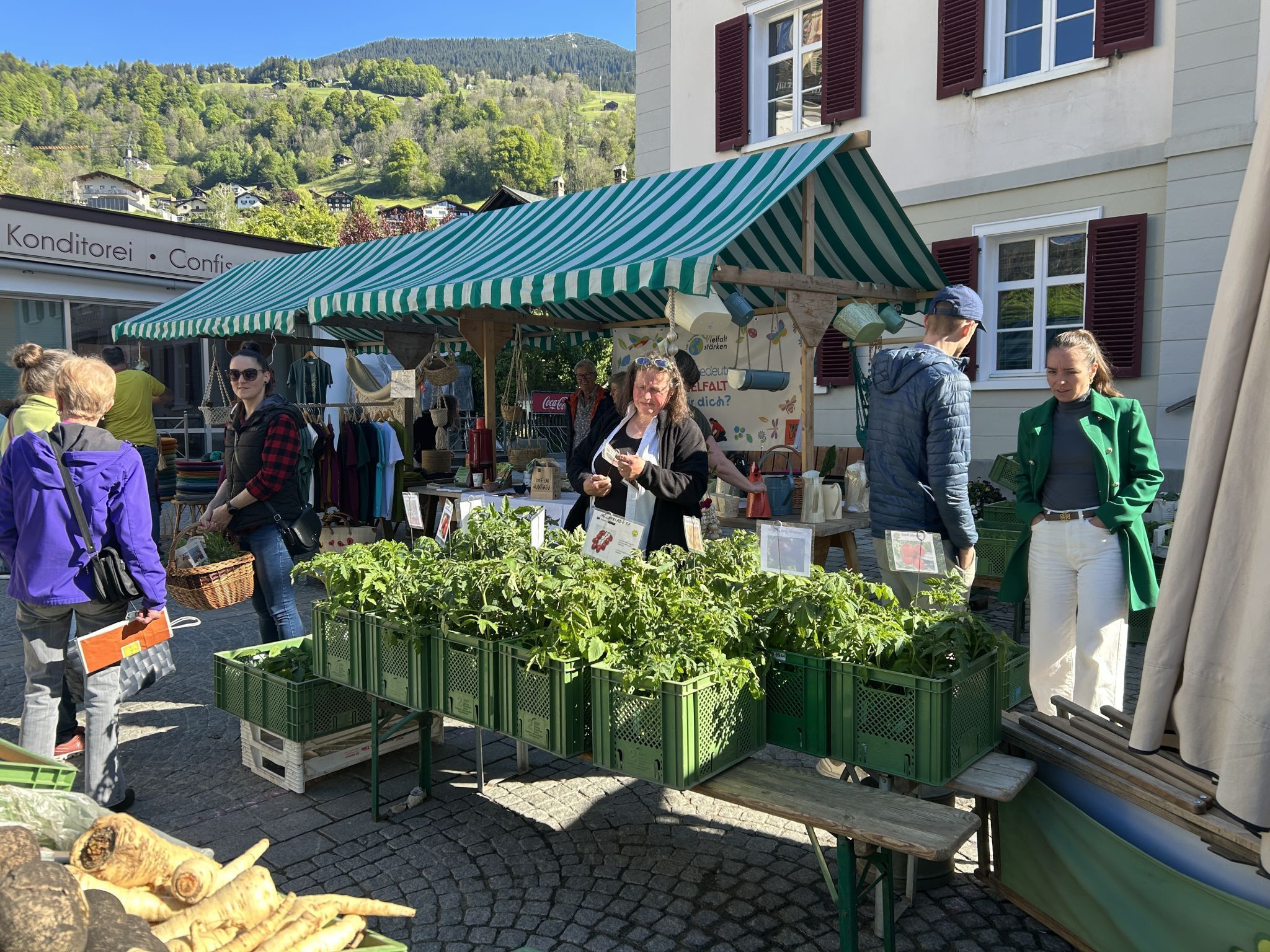 Impressionen vom Bio-Jungpflanzenmarkt (Bildergalerie)