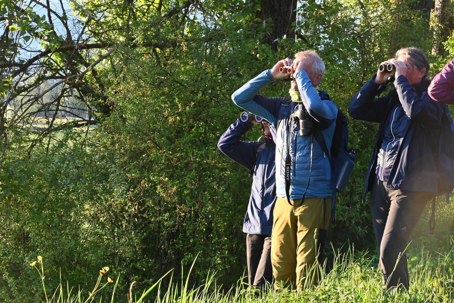 Mit dem Fernglas ausgestattet, lernten die Naturführer alles, rund um die heimische Vogelwelt kennen.