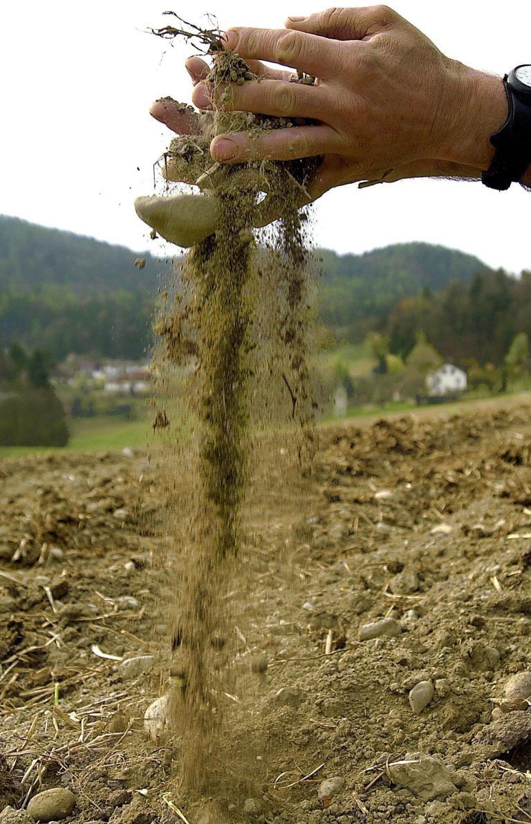 Trockenheit in Vorarlberg: Regen bringt kaum Entlastung