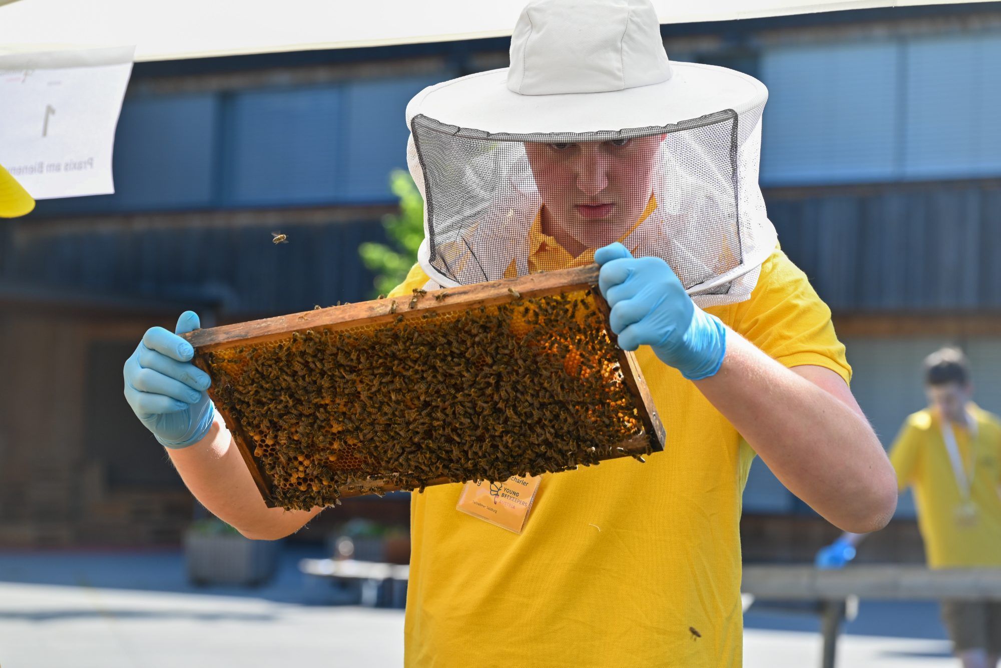 Am Sonntagvormittag zeigten Jungimker aus ganz Österreich ihr Wissen im Umgang mit den Bienen beim Bundesjungimkerwettbewerb.