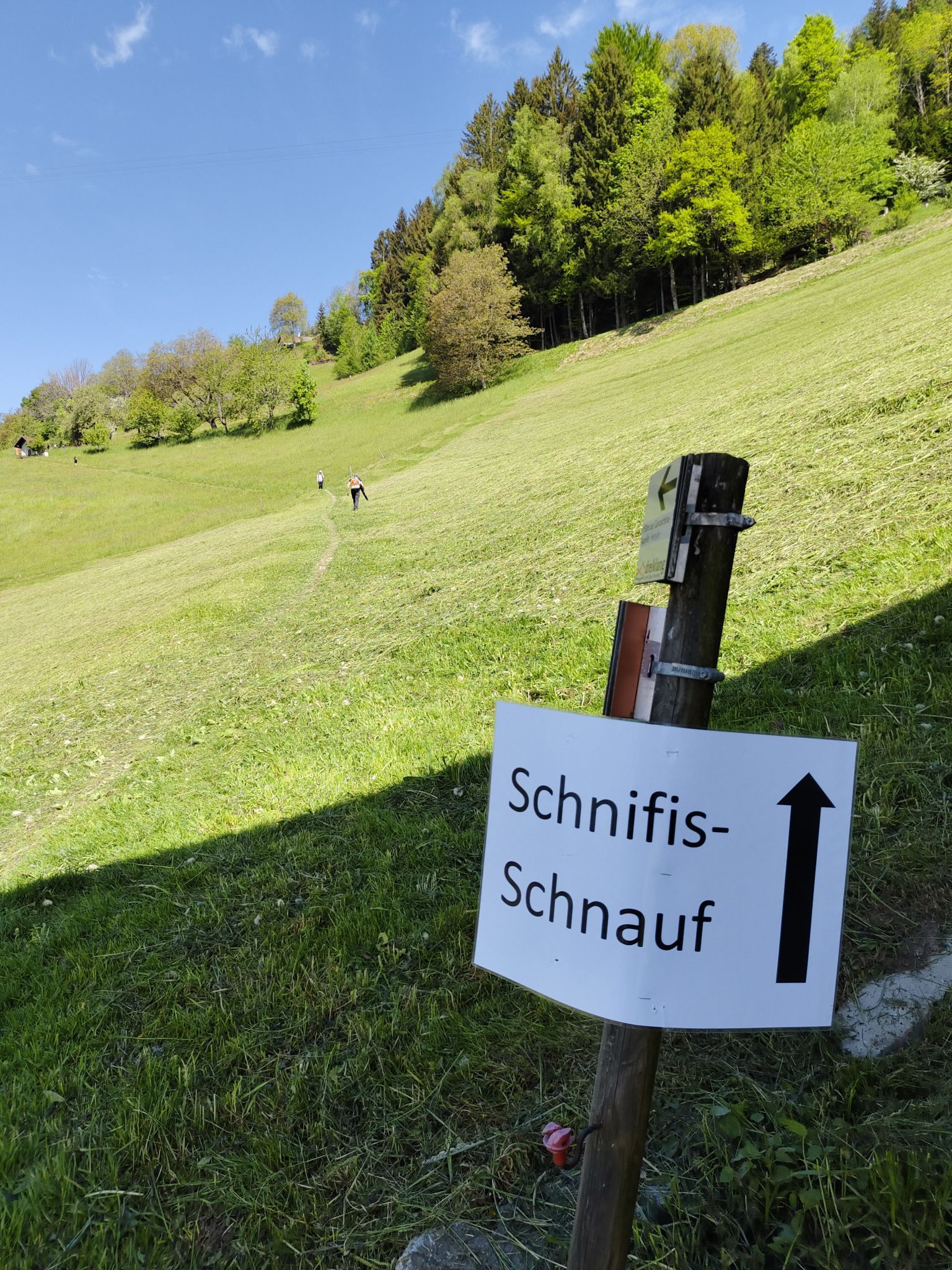 Auf dem Berglauf zum Hensler werden rund 680 Höhenmeter überwunden.