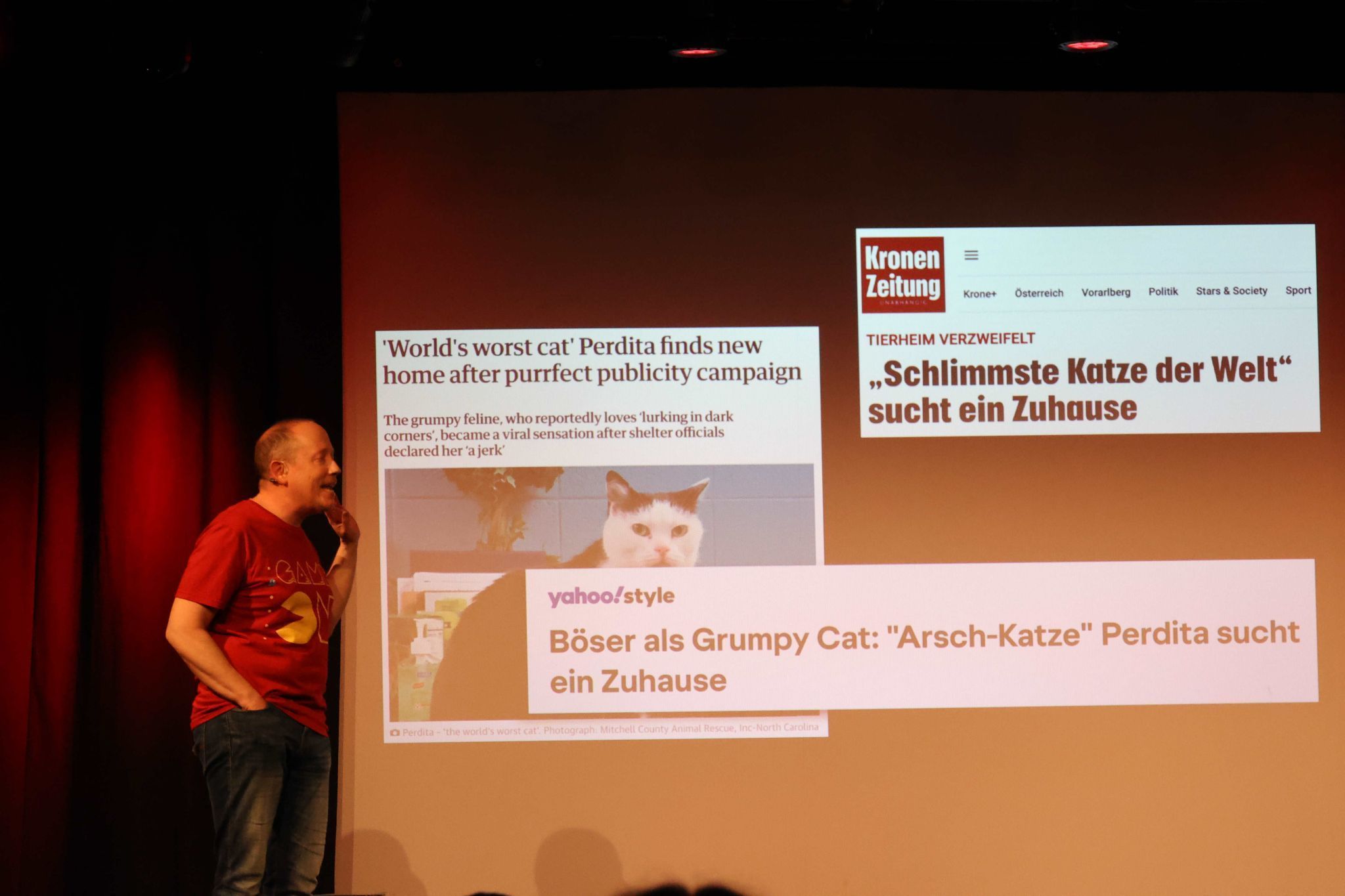 Unfreundliche Katzen als Vorbidler.
