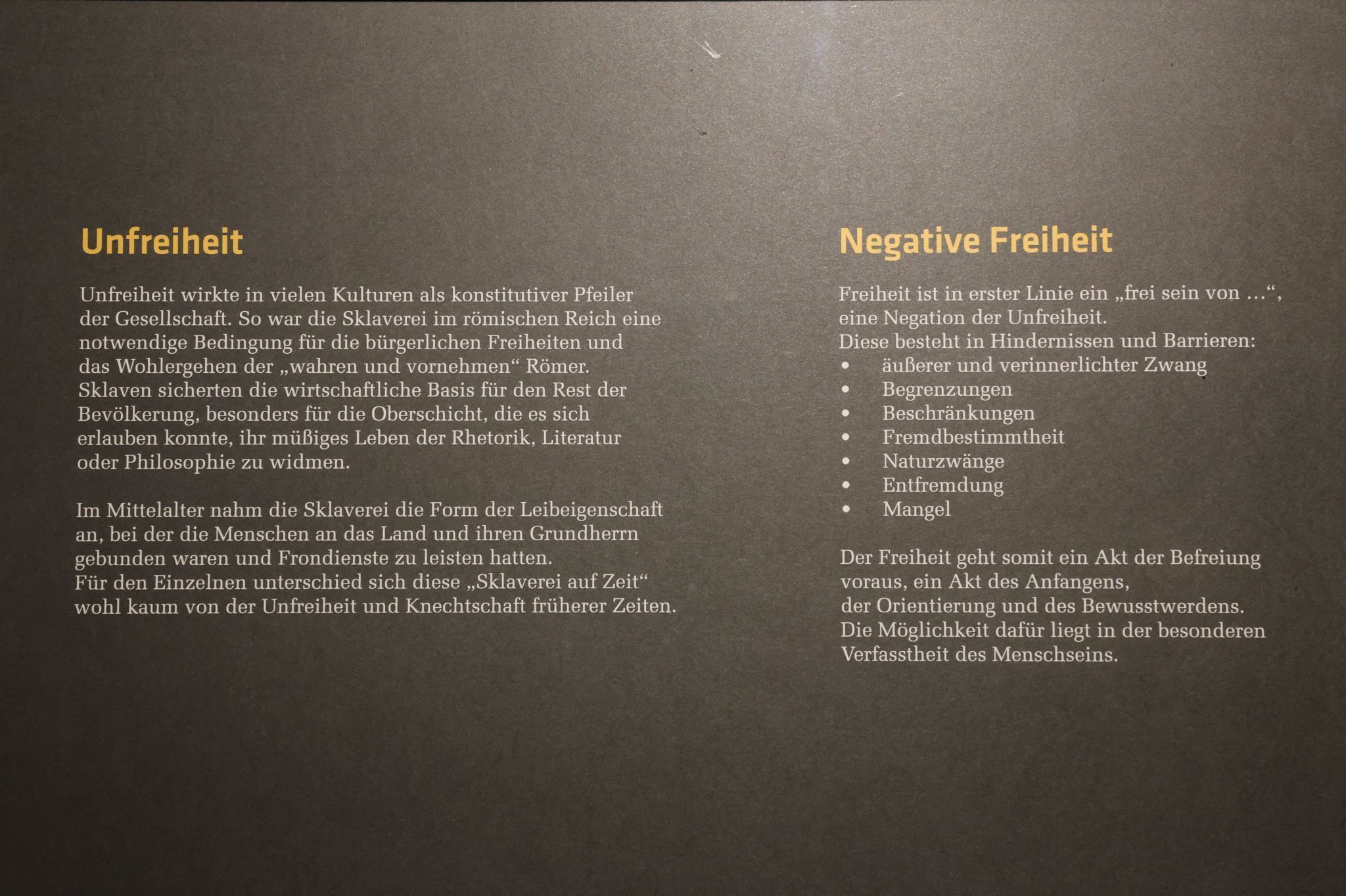 Eindrücke von der aktuellen Sodnerausstellung des Heimatpflege- und Museumsvereins Feldkirch. (Bildergalerie)