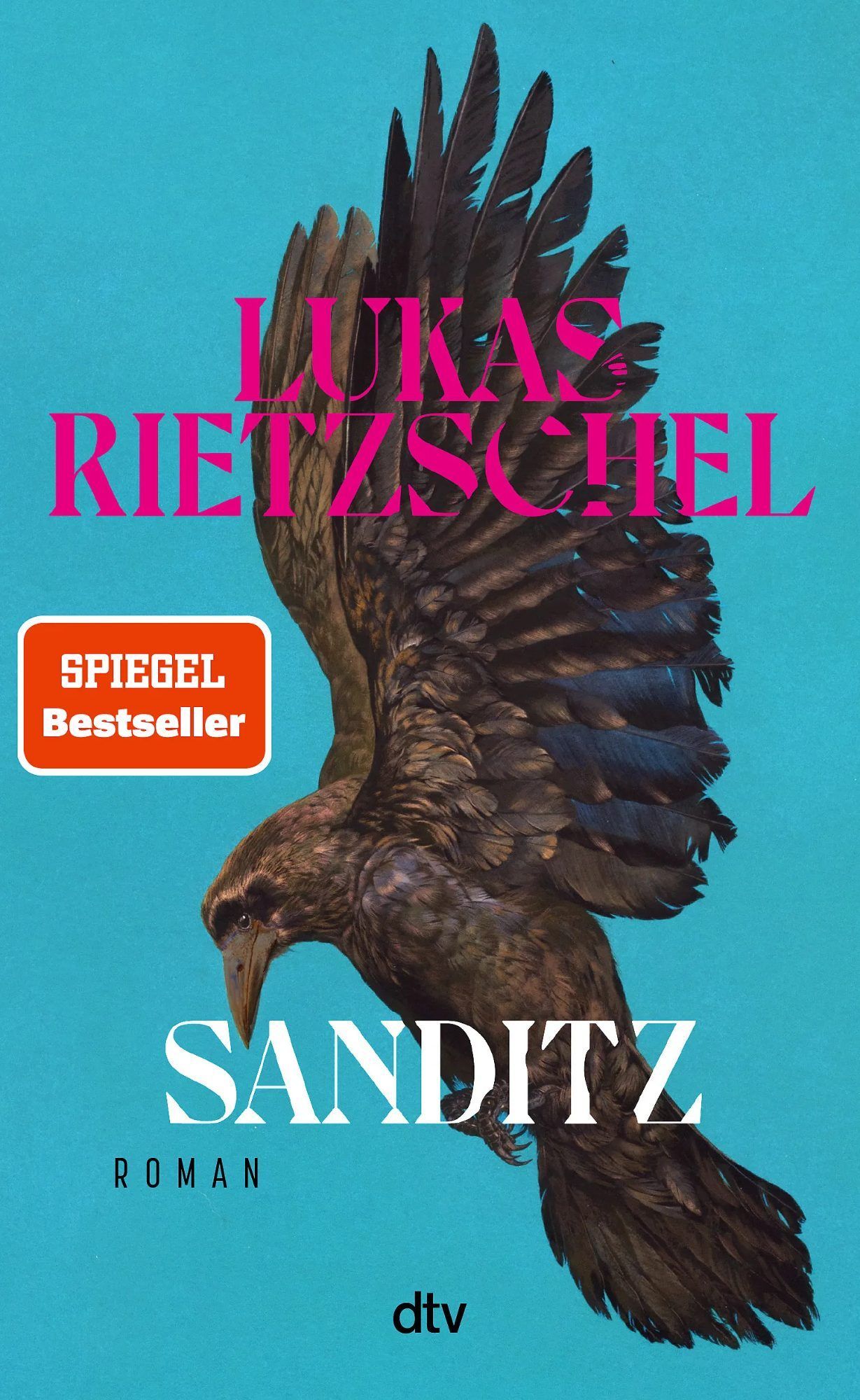 Lukas Rietzschel, Sanditz, dtv, 480 Seiten