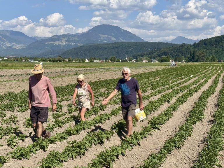 Josef Stark sucht Hobby-Landwirte in Feldkirch