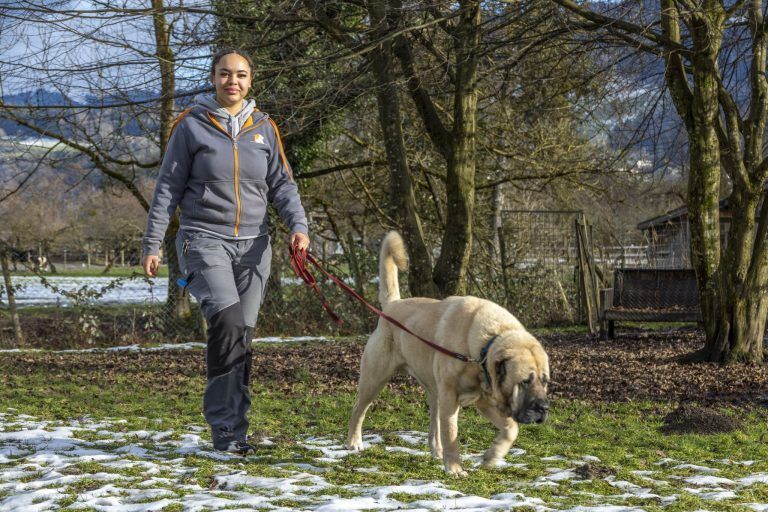 "Viele wissen gar nicht, dass diese Regelung kommt" – Was sich für Hundehalter ab 1. Juli ändert