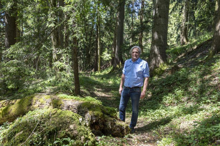 Von der Adlerwarte zur Arche Noah: Frank Matt erfüllt sich am Pfänder einen Lebenstraum