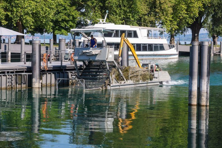 Die Leute bleiben stehen und schauen: Dieses Boot ist die aktuelle Attraktion im Bregenzer Hafen