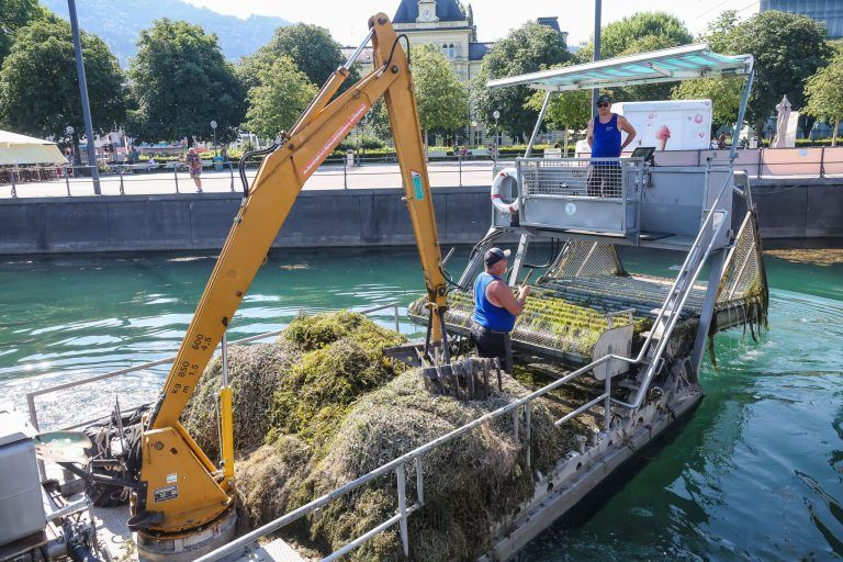 Die Leute bleiben stehen und schauen: Dieses Boot ist die aktuelle Attraktion im Bregenzer Hafen