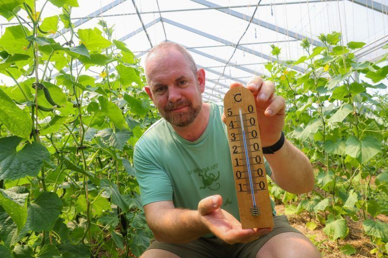 Wie Landwirte der Glutofenhitze die Stirn bieten
