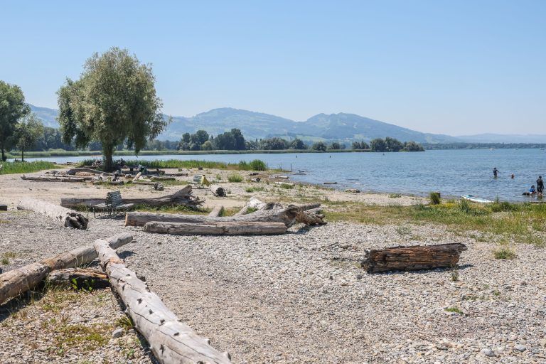 Wenig Wasser im Bodensee: "Beim Schwimmen hauen sie sich die Knie an"