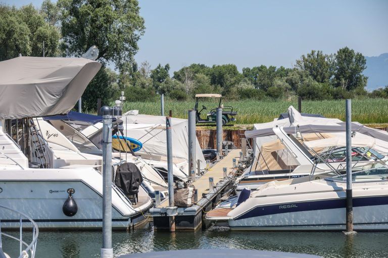 Wenig Wasser im Bodensee: "Beim Schwimmen hauen sie sich die Knie an"