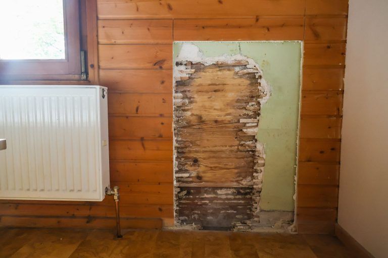 Dorfplatz, Gasthaus, Eisdiele: Warum in Meiningen gerade Großes entsteht
