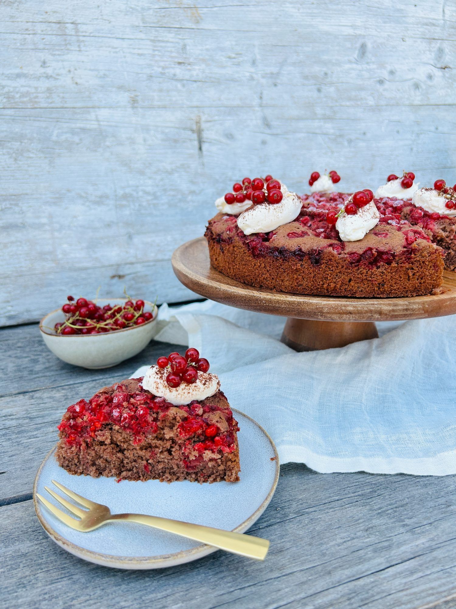 Schoko-Johannisbeer-Kuchen