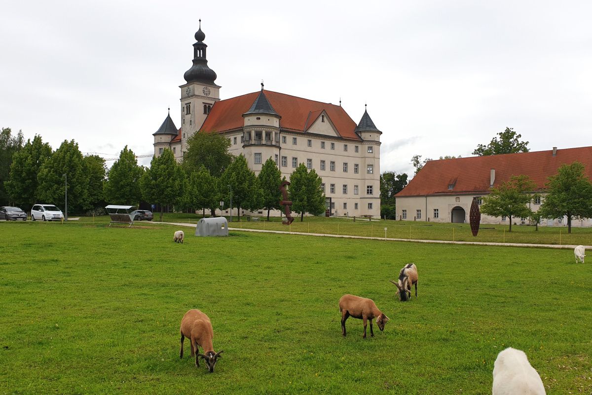 Österreichischer Museumspreis an Schloss Hartheim