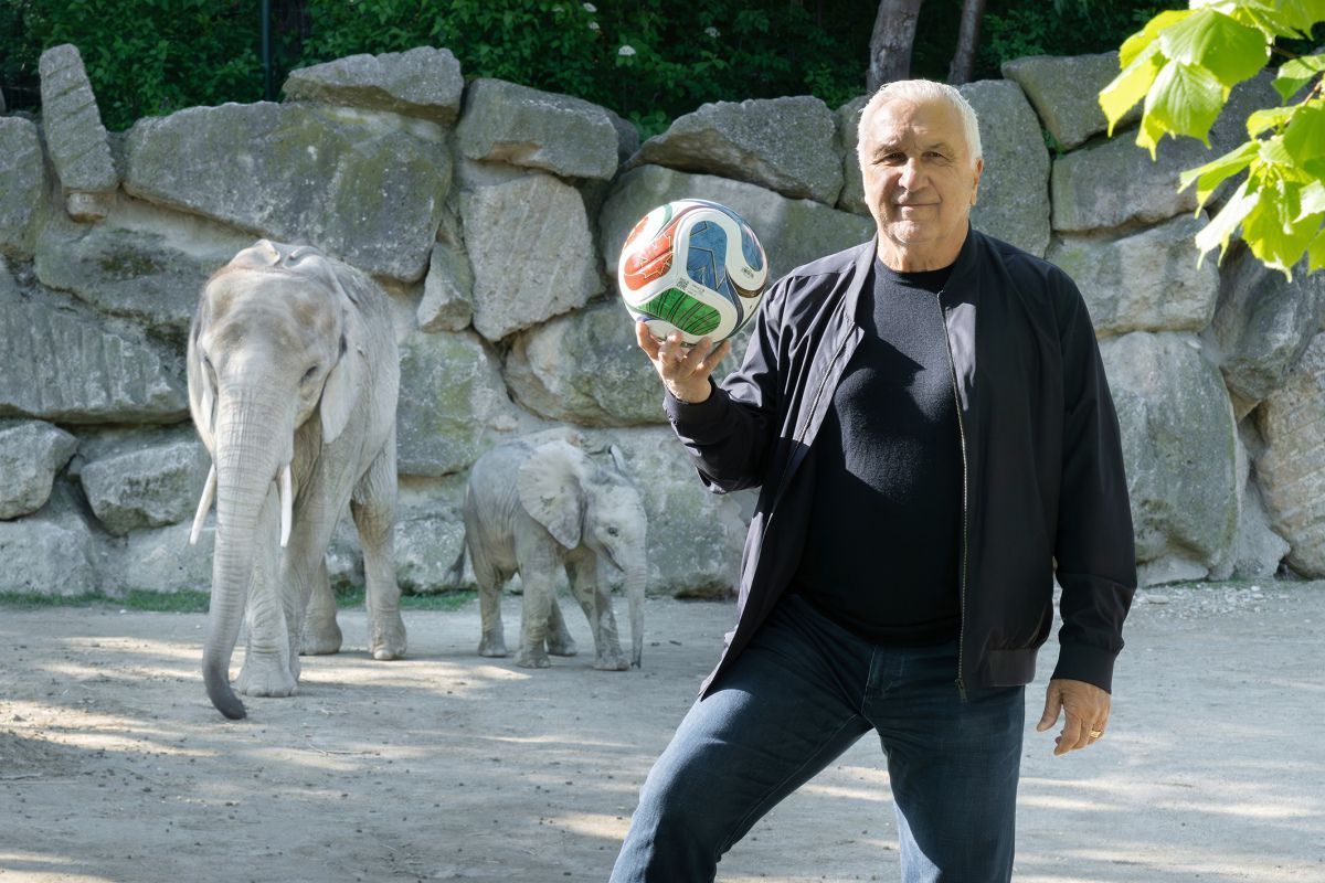 Hans Krankl kickt mit Elefanten im Tiergarten Schönbrunn
