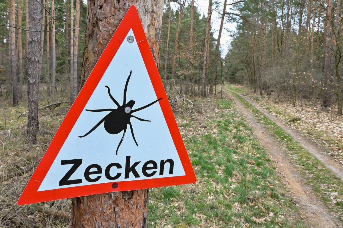 Weiteres von Zecken übertragenes Virus auch in Österreich