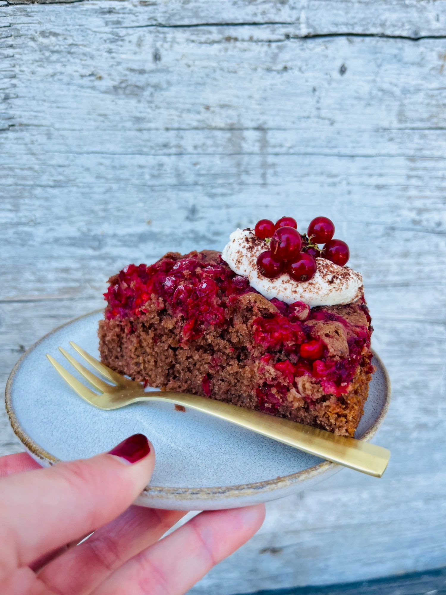 Schoko-Johannisbeer-Kuchen
