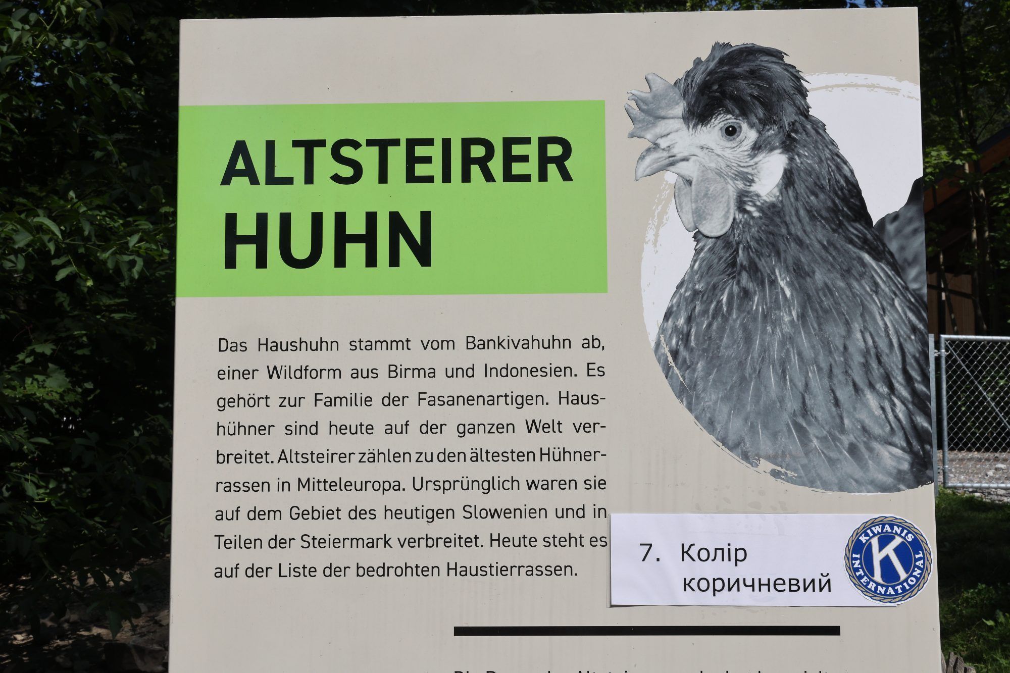 Unbeschwerte Tage für junge Gäste aus der Ukraine