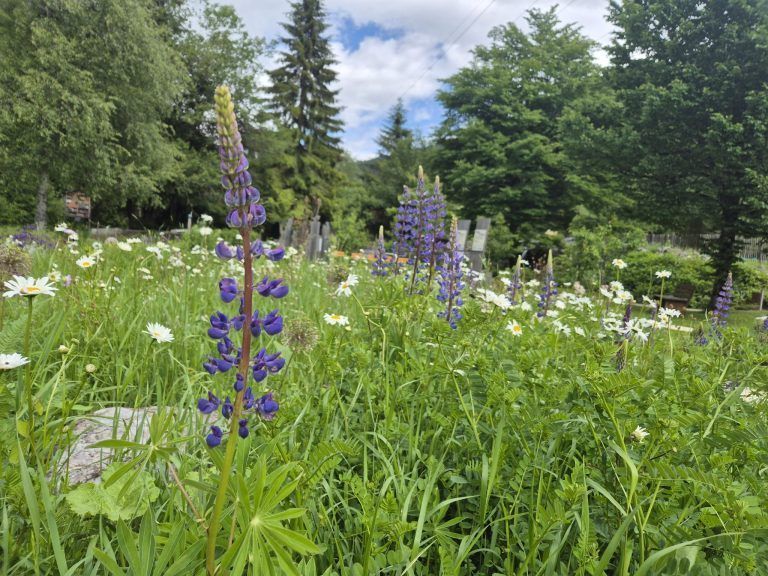 20260611_160440.jpg